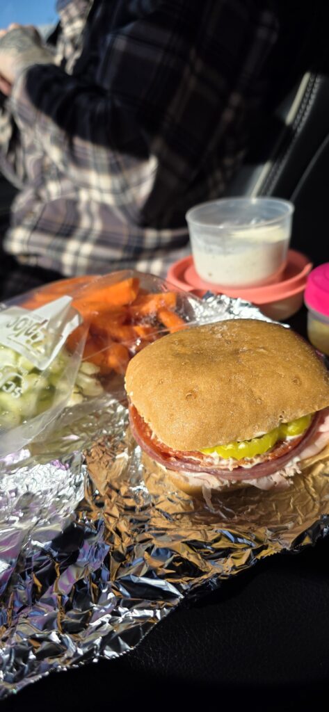 Travel lunch sandwich warmed in a HotLogic and eaten with vegetables in the truck