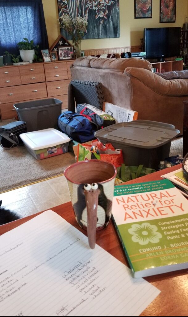 Living room packed with camping gear, totes, and supplies while preparing for a road trip with a travel food system.